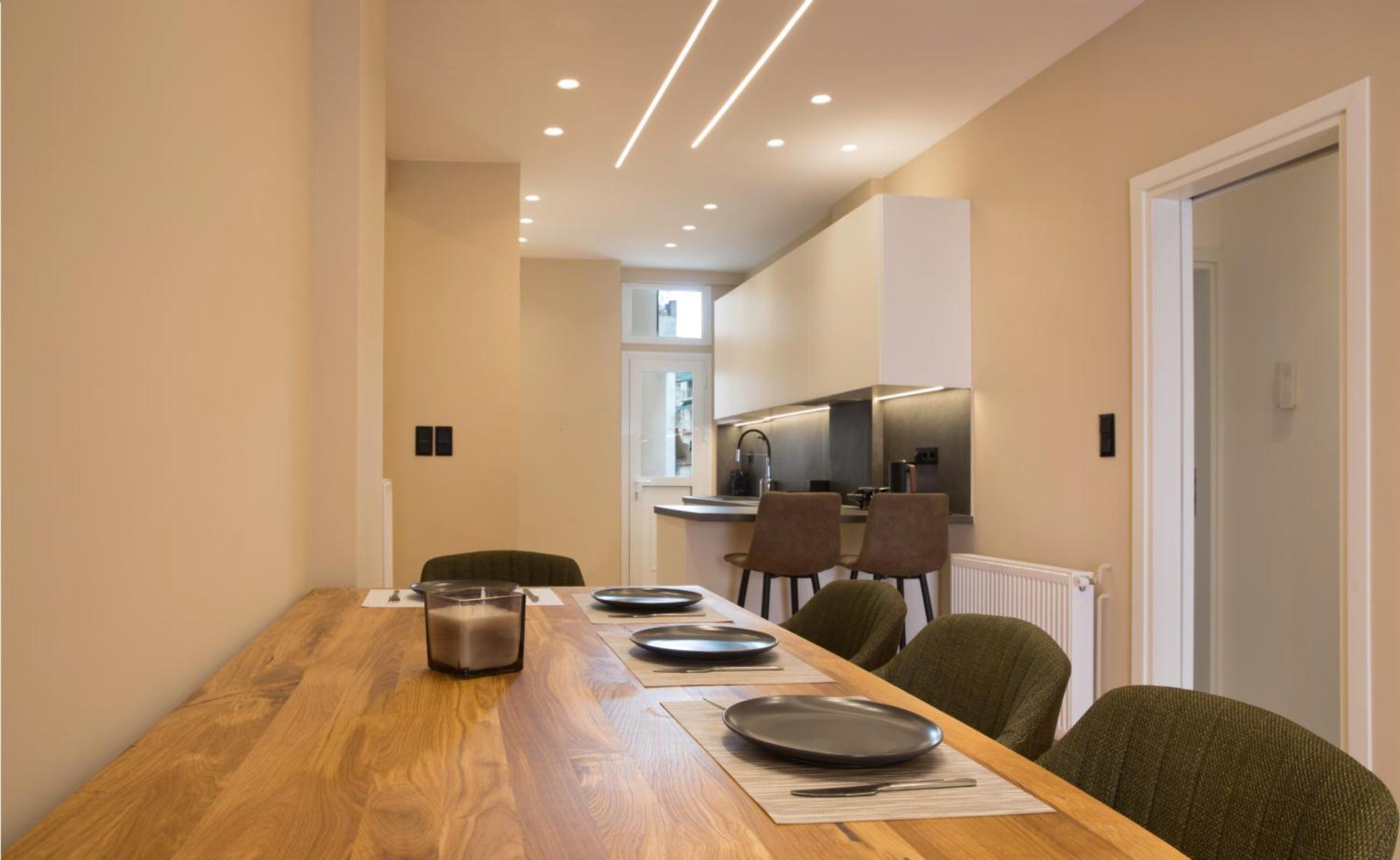 Urban Spacious Apartment Near Kallimarmaron Atena Exterior foto